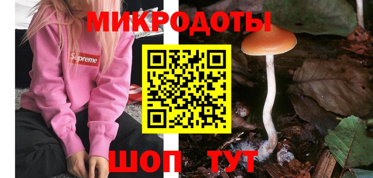 Галлюциногенные грибы Magic Shrooms Москва