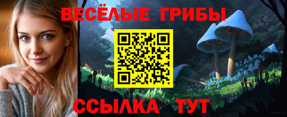 Москва  Галлюциногенные грибы Magic Shrooms  Вход с VPN 